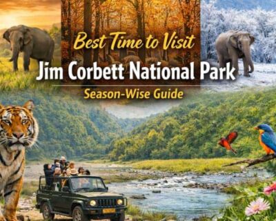 Best-Time-to-Visit-Jim-Corbett-National-Park-Season-Wise-Guide