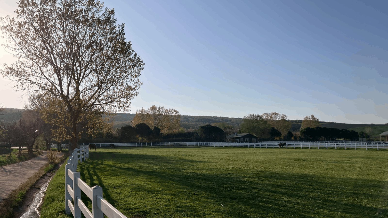 Secure Your Backyard: Privacy Fence Installation — Fort Worth Solution
