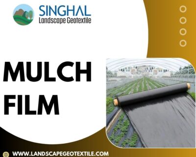 Mulch-Film