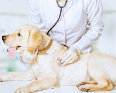 Screenshot-2025-12-10-101659