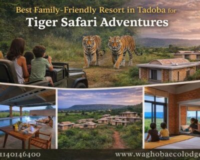 best-family-friendly-resort-in-tadoba