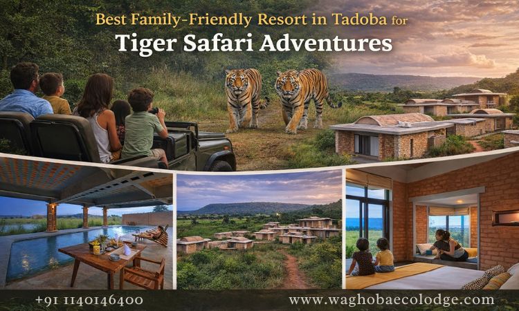 Best Family-Friendly Resort in Tadoba for Tiger Safari Adventures