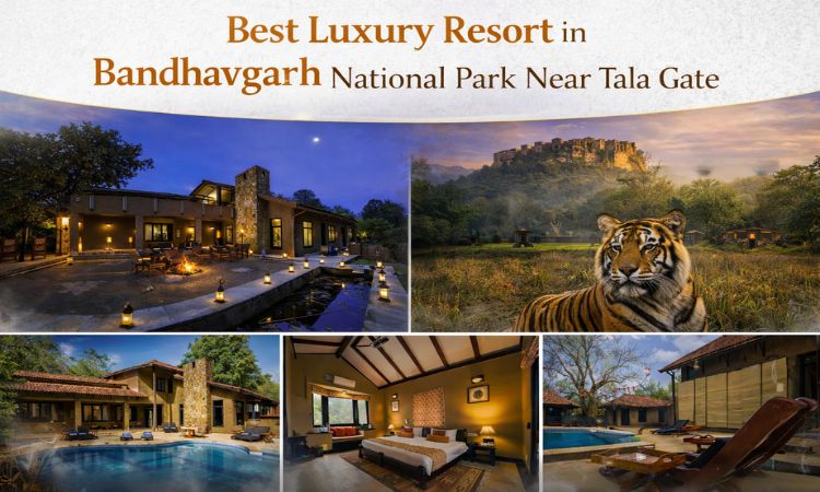 Best luxury Resort in Bandhavgarh National Park Near Tala Gate