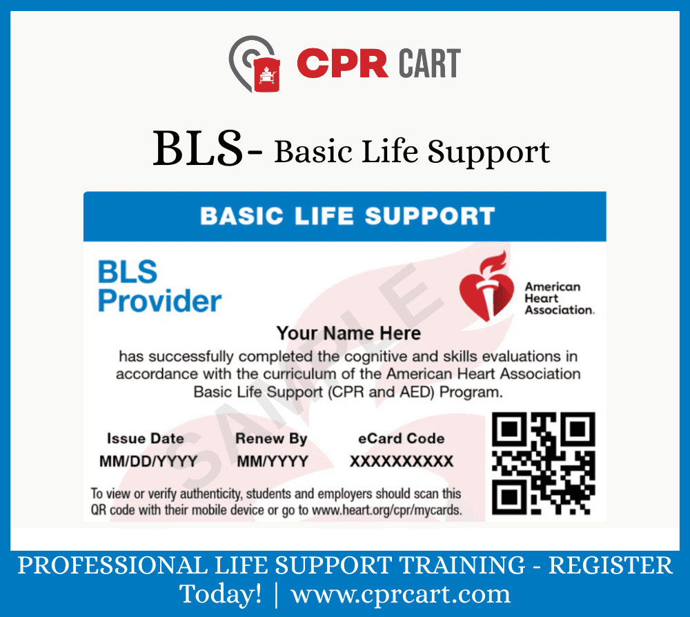 American Heart Association BLS Course – Study Online, Test Quickly