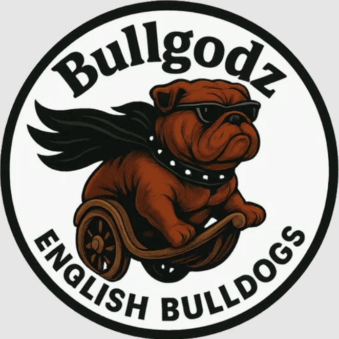 The Ultimate Guide to Bulldog Toys and Bulldog Shampoo: Keeping Your B