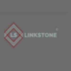 linkstone6961eee11fa91