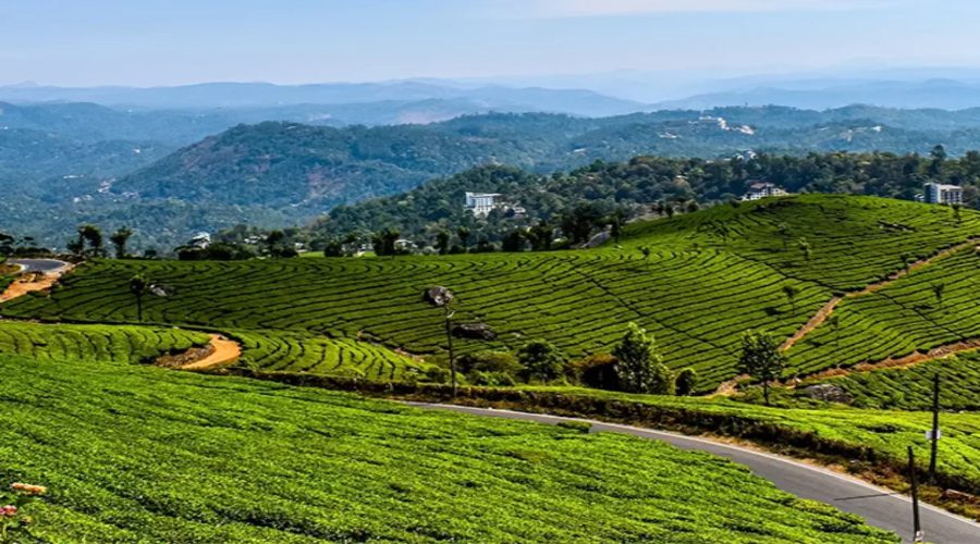 Best South India Holiday Packages – Travelogy