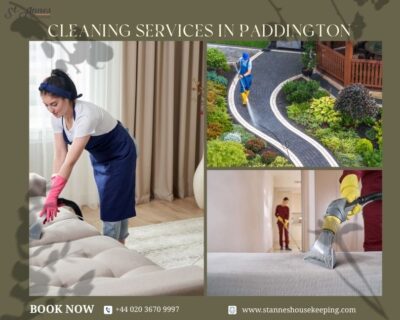 Cleaning-Services-in-Paddington