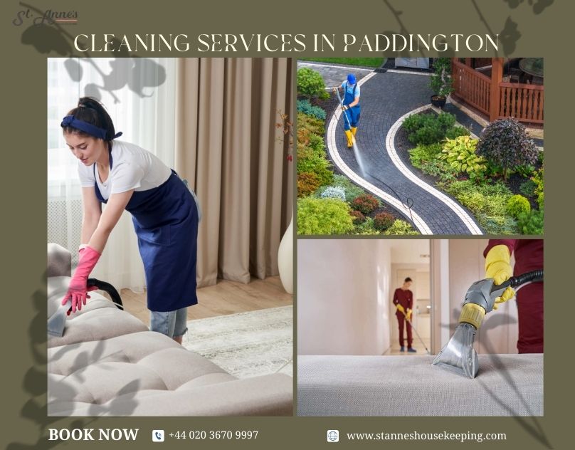 Home and Business Cleaning Services in Paddington