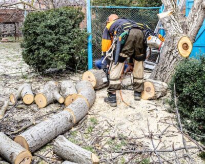 Tree-Removal-Service