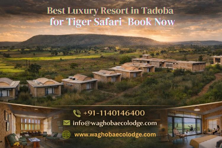 Best Luxury Resort in Tadoba for Tiger Safari – Book Now
