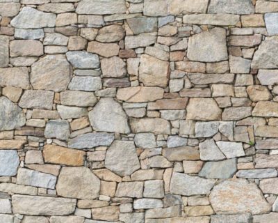 istockphoto-1396985587-612×612-1