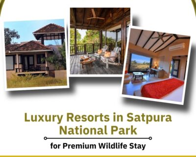 luxury-resorts-in-satpura-national-park