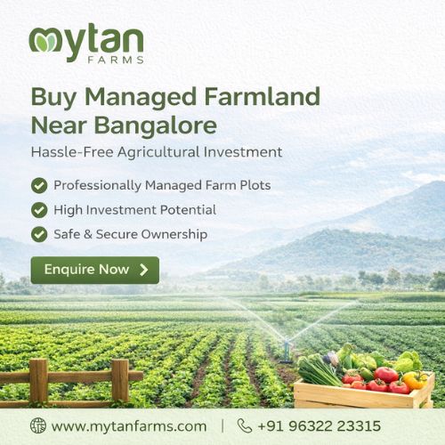 Buy Managed Farmland Near Bangalore – Hassle-Free Agricultural Investm