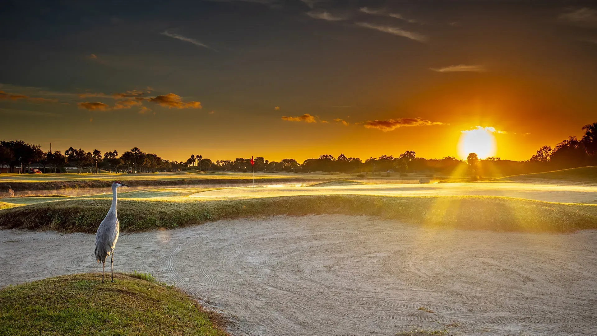 Find the Best Golf Schools Orlando Has to Offer | Enroll Now