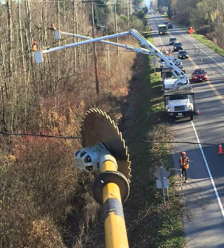 Expert Utility Line Management North Vancouver – Certified Arborists
