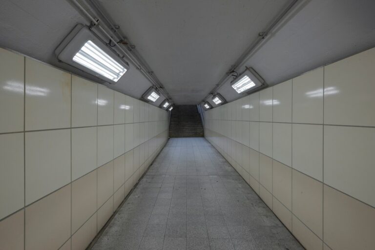 Upgrade Your Home with Basement Finishing and Design Michigan Services