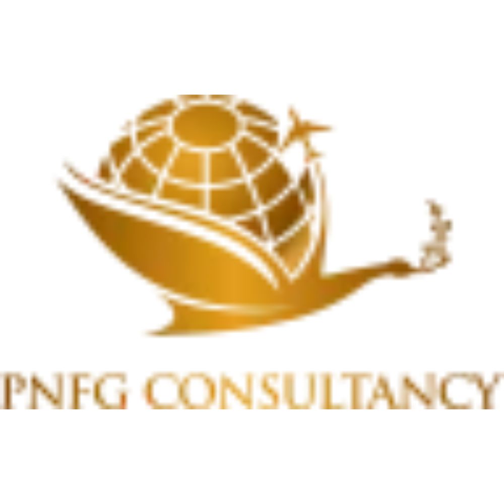 PNFG CONSULTANCY