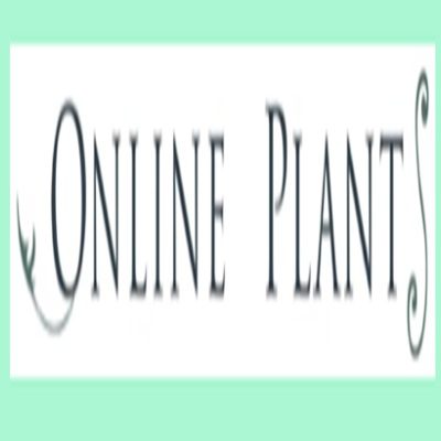 Online Plants-Dwarf Crepe Myrtle
