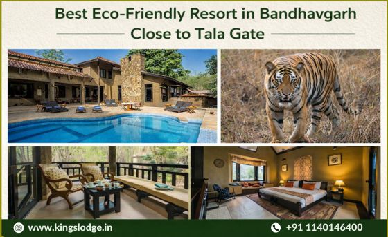 Best Eco-Friendly Resort in Bandhavgarh – Close to Tala Gate