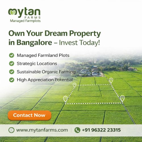 Looking for the Best Property to Buy in Bangalore? Invest Now
