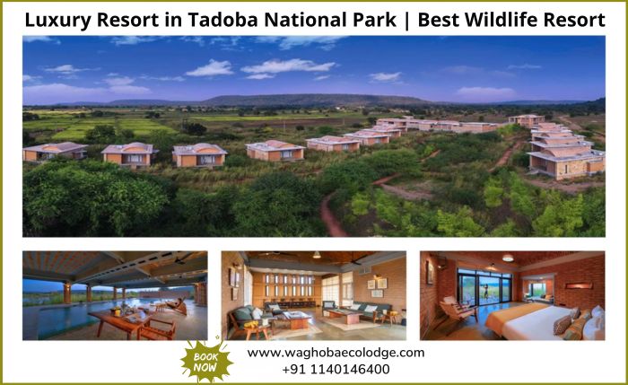 Book Luxury Resort in Tadoba National Park
