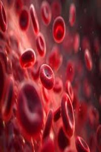 drakankshahematologist