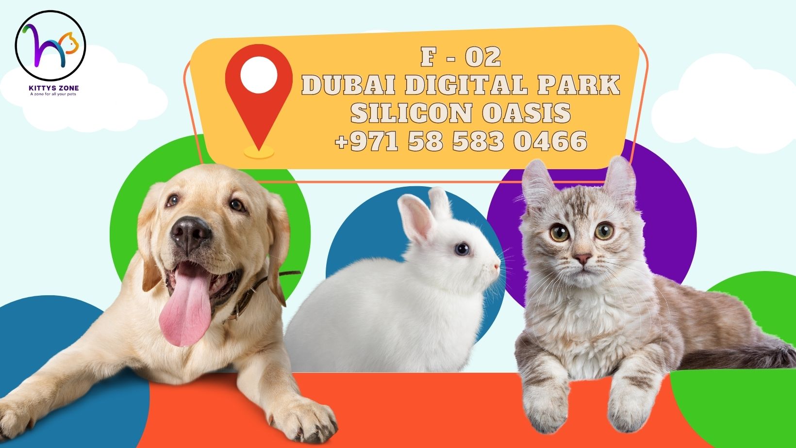 Pet Services in Dubai for Complete Care and Pet Solutions