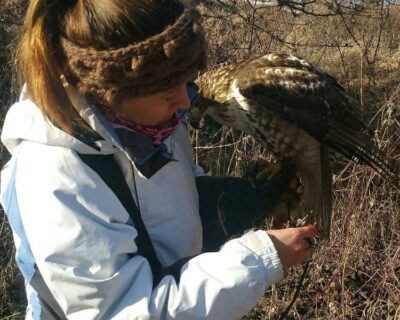 27164274_1671125163004753_4627598690491341087_o-1