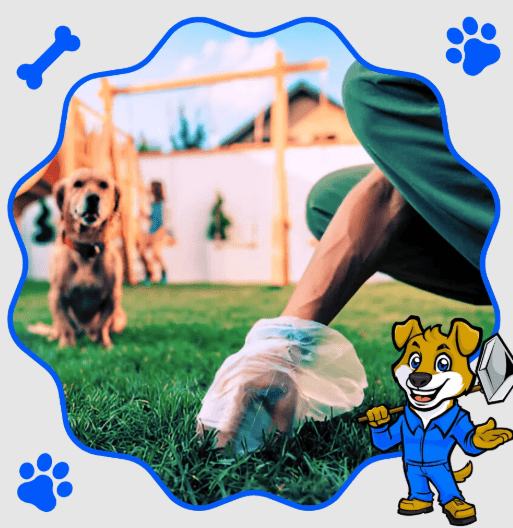 Pet waste removal company