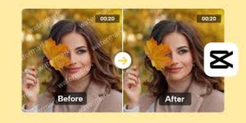 Video Editing Training in Chennai