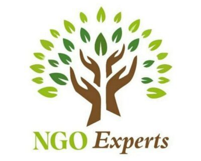 NGO-Experts-Logo