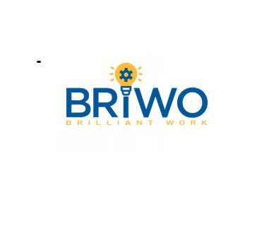 Briwo Solutions: Global Leaders in IBM Maximo & TRIRIGA Consulting