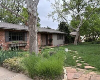 landscape-maintenance-companies