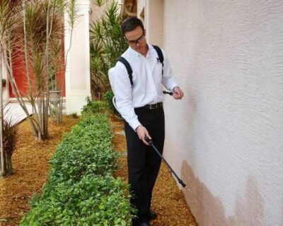 pest-control-saginaw