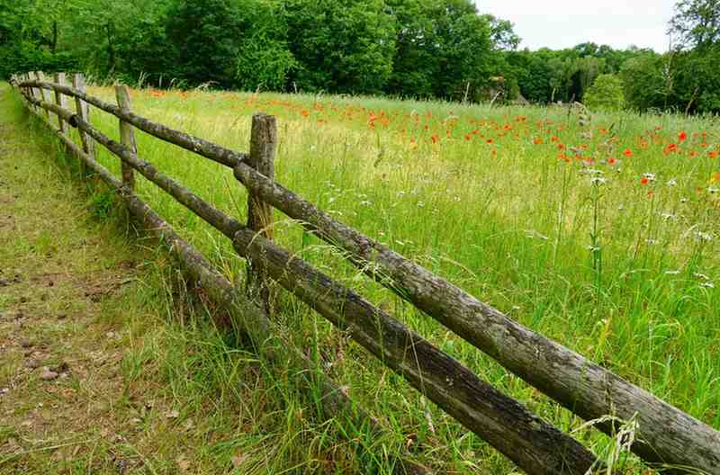 Farm Fencing Weatherford – Strong & Reliable Ranch Fencing Solutions