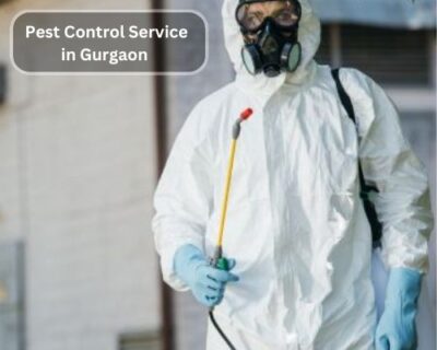 Pest-Control-Service-in-Gurgaon-