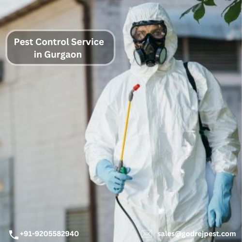 Best Pest Control Service in Gurgaon | Safe & Effective Solutions