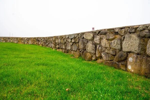 Seasonal Lawn Revival Experts