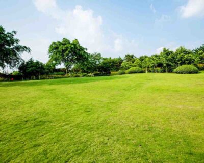lawn-services-saginaw