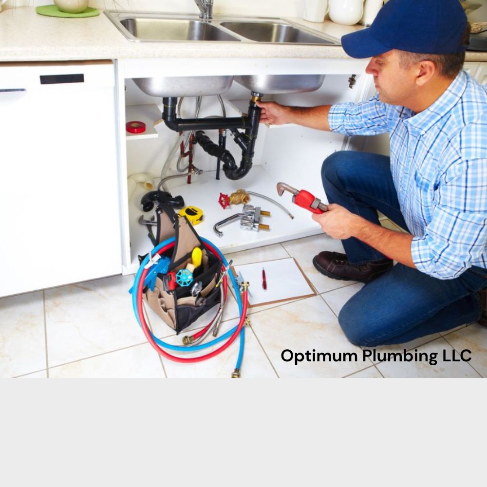 Trusted Plumbing Company Land O Lakes for Quality Services