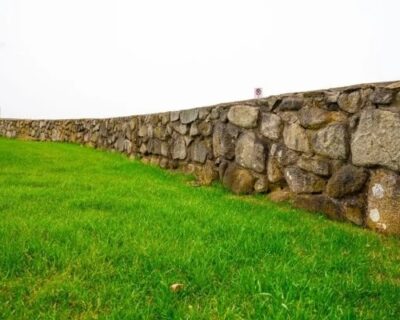 turf-management-saginaw-michigan