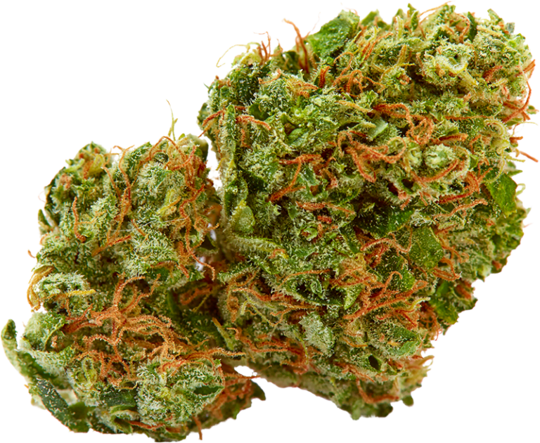 Hamilton Weed Delivery | Fast & Reliable Cannabis Service