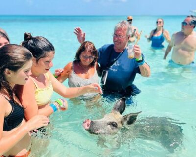 Bahamas-boat-tour-with-pigs_