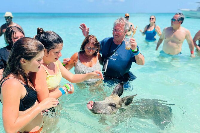 Discover Amazing Island Fun Bahamas Boat Tour With Pigs