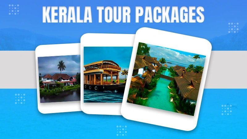 TripHippies: India’s Leading Tour & Travel Platform