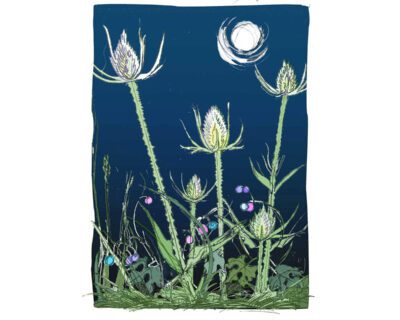 Burdock_and_the_Moon