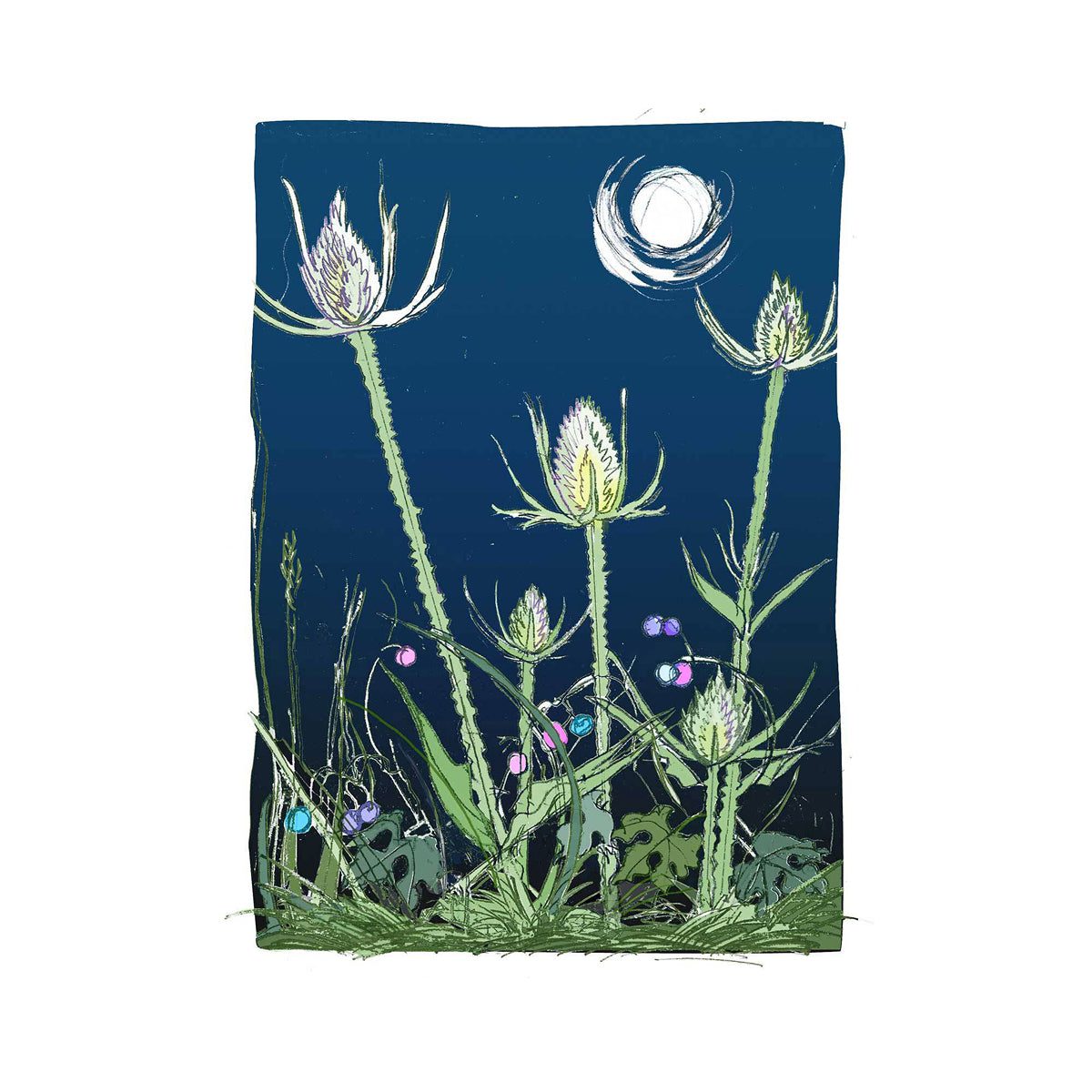 All Occasion Greeting Cards for Every Special Moment Shop Online Today