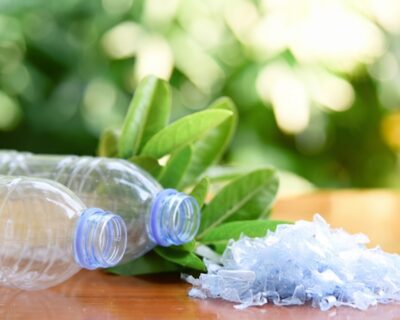 PET-Bottle-Flakes