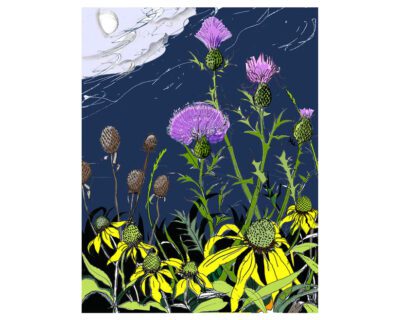 Prairie_Flowers-1